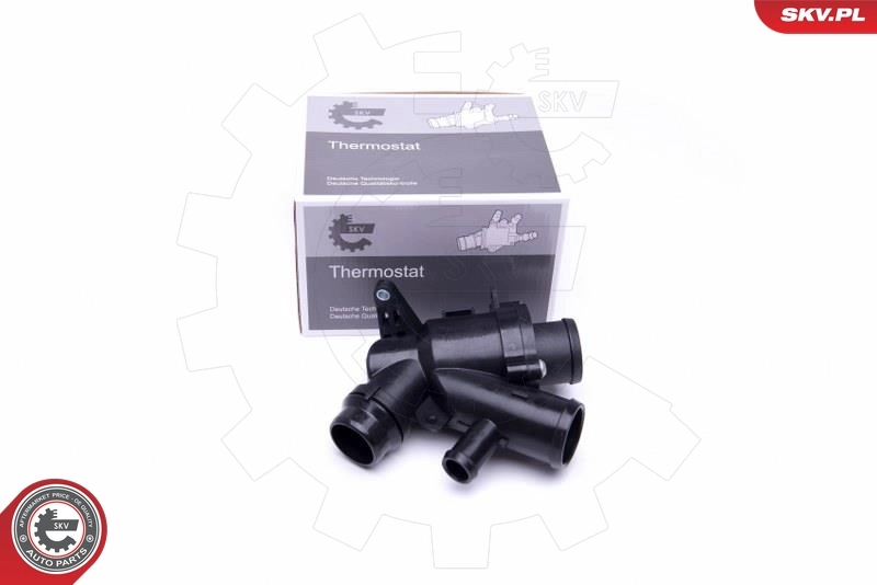 Thermostat, coolant
